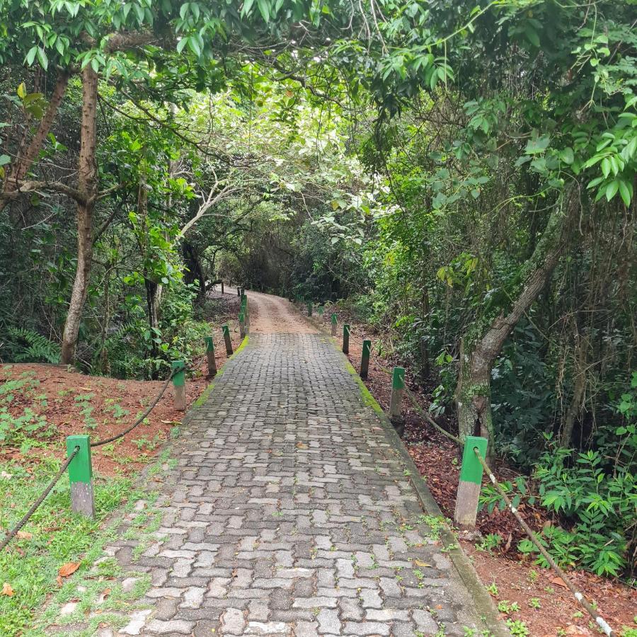 Suite Ampla No Melhor Da Barra Da Tijuca Rio de Janeiro Exterior foto